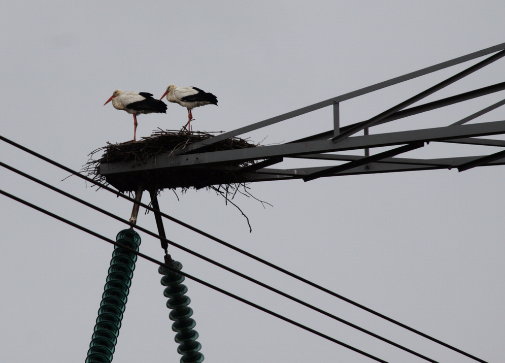 baby boom hoogspanning