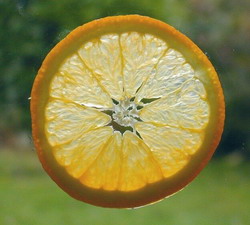 orange slice