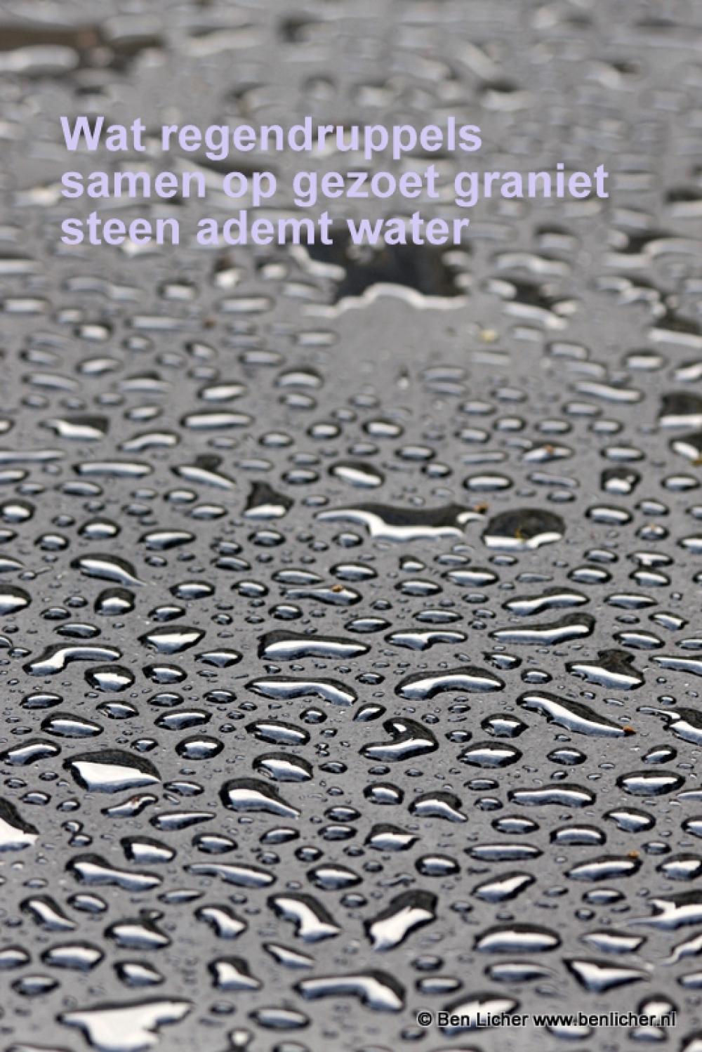 regendruppels